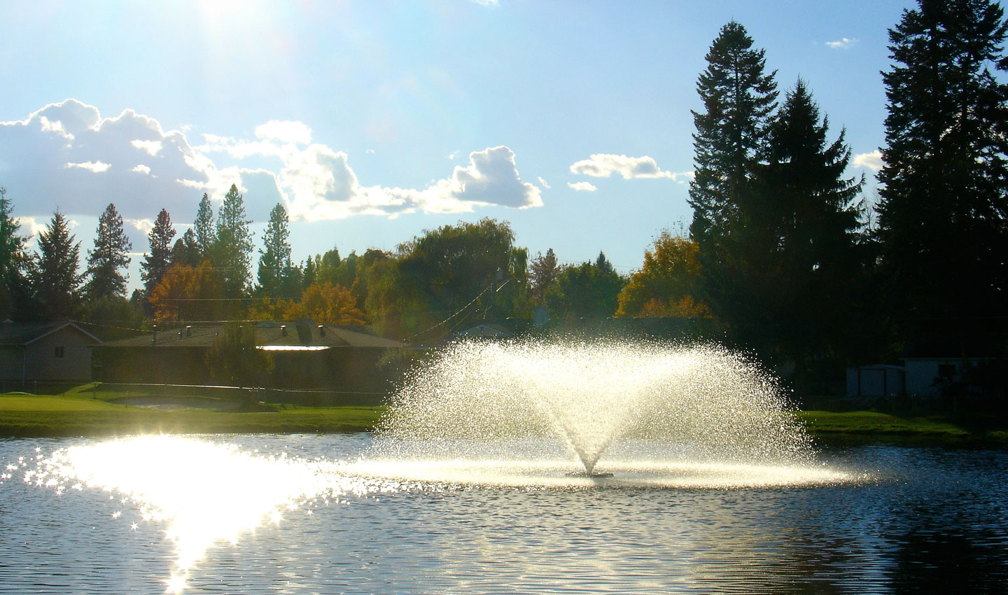 Ponderosa Springs Golf